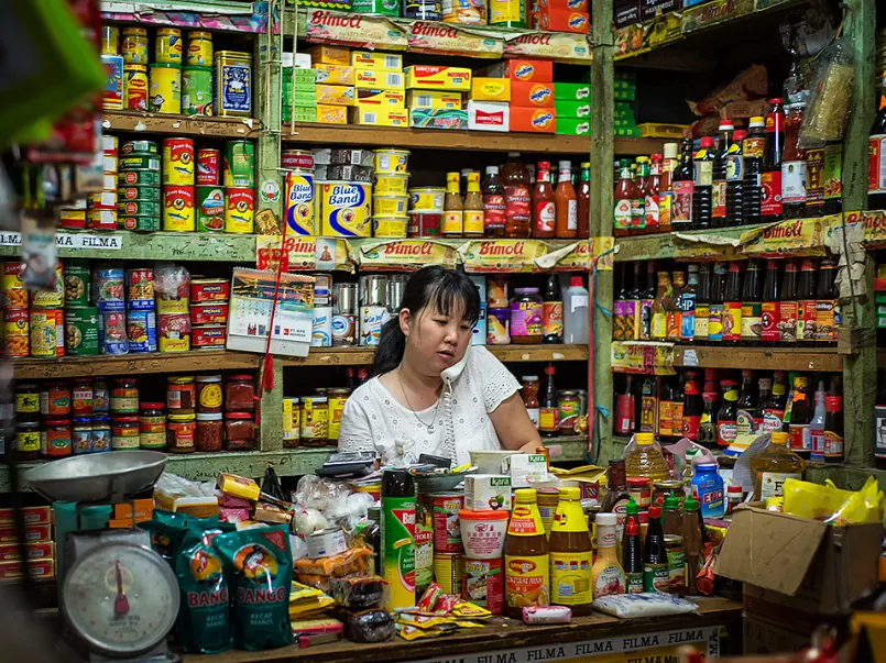 usaha untuk ibu rumah tangga di desa